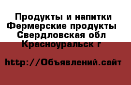 Продукты и напитки Фермерские продукты. Свердловская обл.,Красноуральск г.